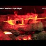 Каминокомплект Dimplex Calgary - Дуб / Сланец белый с очагом Chesford