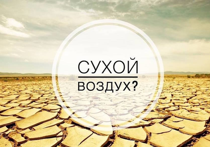 Слишком низкий уровень влажности способен нанести заметный урон нашему здоровью