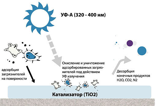 Как фотокатализ уничтожает бактерии и химические загрязнители