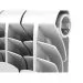 Royal Thermo Vittoria 350 12 секций радиатор