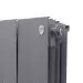 Royal Thermo PianoForte 200 Silver Satin 12 секций радиатор