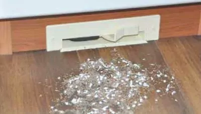  Electrolux Пневмосовок VacPan